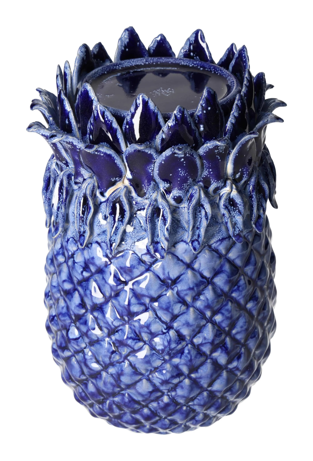 orbitvu|type:image2d