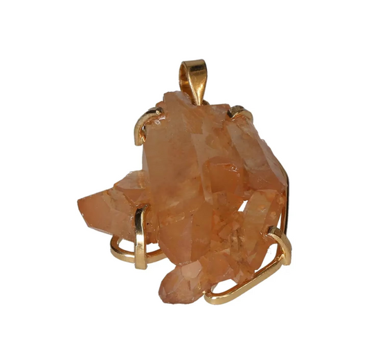 orbitvu|type:image2d