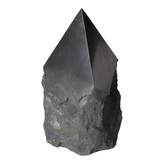 orbitvu|type:ORBITVU 360|https://orbitvu.co/share/6Uwq8LrCSmWXwaFxcS3R8j/6635438/360/iframe