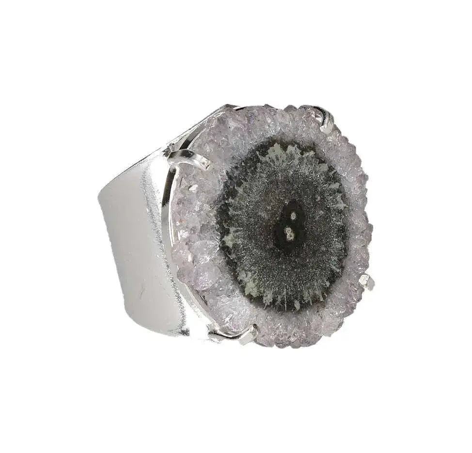 orbitvu|type:image2d