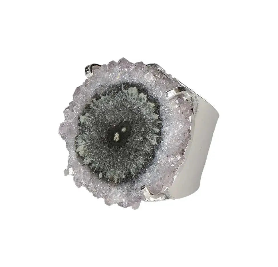 orbitvu|type:image2d