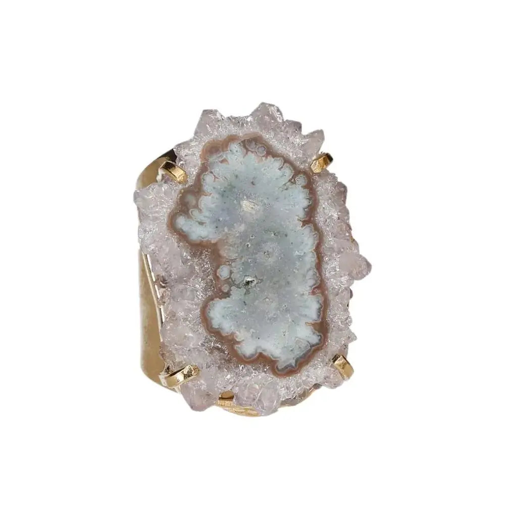 orbitvu|type:image2d