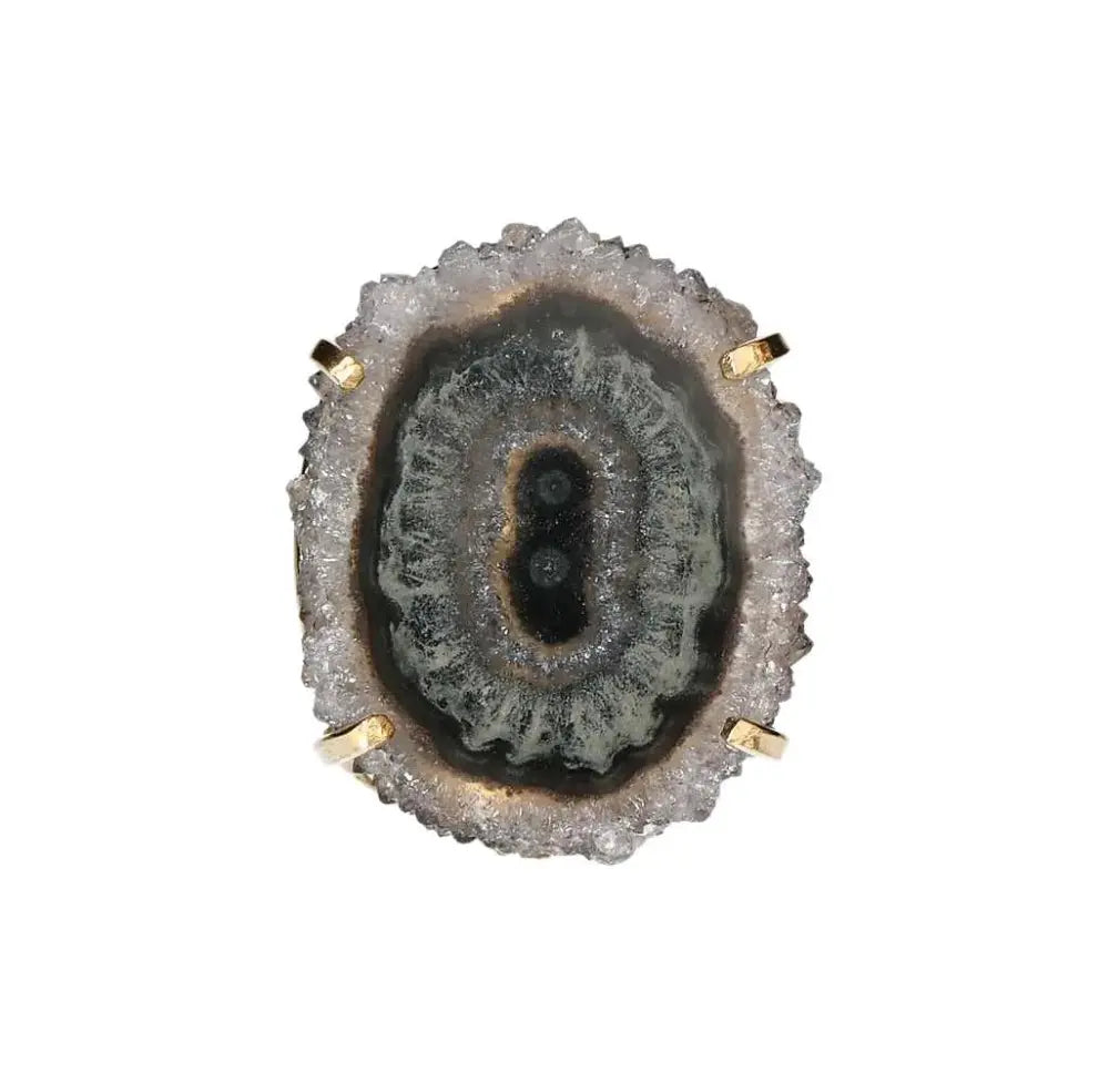 orbitvu|type:image2d