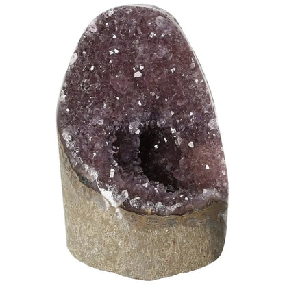 Amethyst Cut Base Geode from Sylvia Crystals, a handpicked gem known for stress relief and energy enhancement.