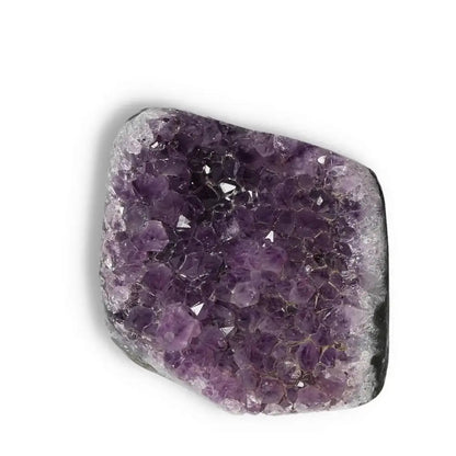 Amethyst Cut Base Geode from Sylvia Crystals, showcasing rich purple hues and sparkling facets for aesthetic and spiritual enhancement.