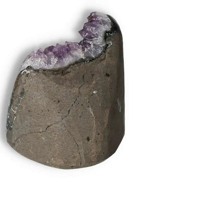 Amethyst Cut Base Geode from Sylvia Crystals' collection showcasing purple crystal formation with natural stone base.