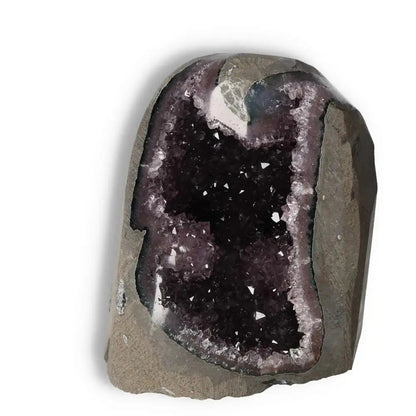 Amethyst Cut Base Geode by Sylvia Crystals, showcasing deep purple hues and natural elegance for conscious living.
