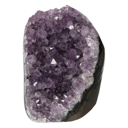 Amethyst Cut Base Geode from Sylvia Crystals, premium quality decorative piece for collectors and crystal enthusiasts.