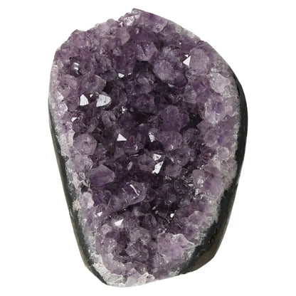 Amethyst Cut Base Geode - Premium crystal from Sylvia Crystals, exemplifying luxury and elegance for collectors and enthusiasts.