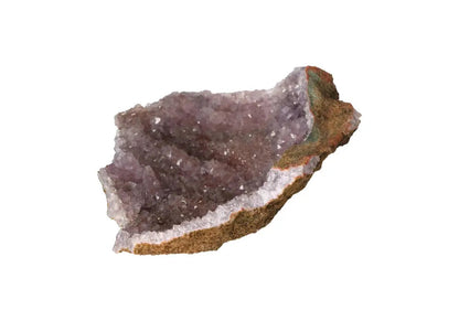 orbitvu|type:image2d
