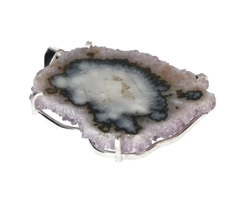 orbitvu|type:image2d