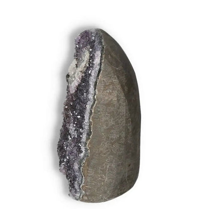 Elegant Amethyst cut base geode from Sylvia Crystals, known for its stress-relieving properties and high-quality handpicked design.