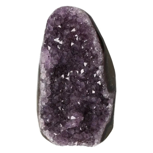 Amethyst cut base geode showcasing sparkling purple crystals, exclusive to Sylvia Crystals. Luxurious, spiritual decor piece.