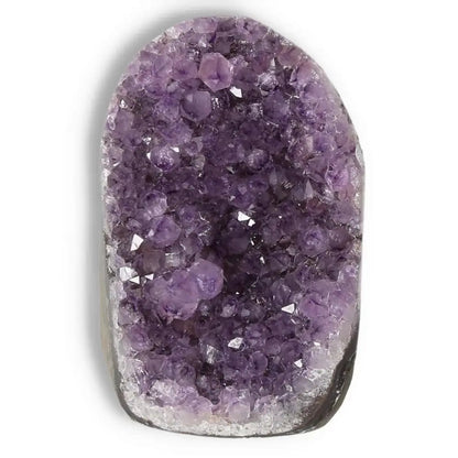 Amethyst cut base geode with rich purple crystals, ideal for enhancing spiritual well-being and stress relief, by Sylvia Crystals.
