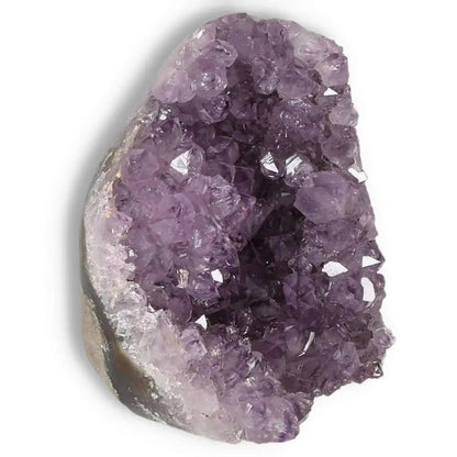 Amethyst cut base geode from Sylvia Crystals showcasing luxury and natural beauty, known for its soothing energy and premium quality.