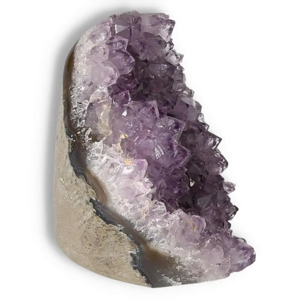 Amethyst cut base geode with vibrant purple crystals from Sylvia Crystals, showcasing luxury and natural beauty.