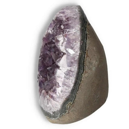 Amethyst cut base geode showcasing deep purple crystals, a luxurious offering from Sylvia Crystals for tranquility and space enhancement.