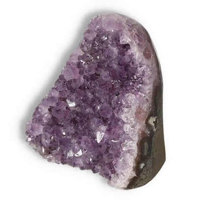 Amethyst cut base geode by Sylvia Crystals, showcasing luxurious purple hues and sparkling crystals for decoration and spiritual ambiance.