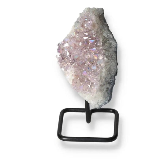 orbitvu|type:ORBITVU 360|https://orbitvu.co/share/R8ucaMPGaQ55iKMiSXfE7T/6276423/360/iframe