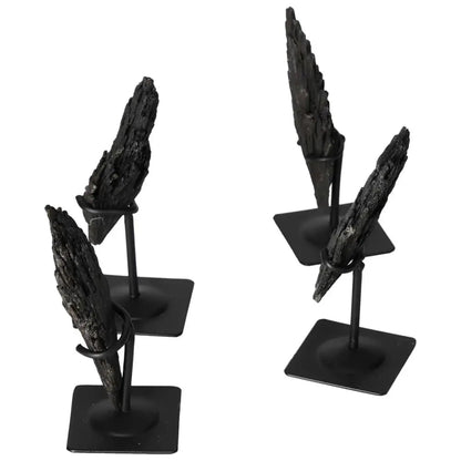 orbitvu|type:image2d