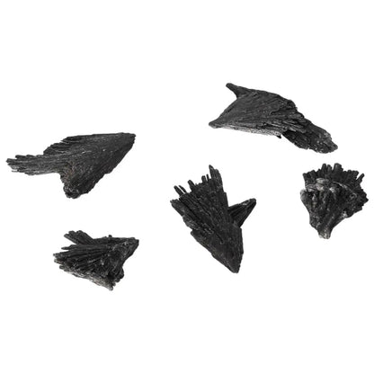 orbitvu|type:image2d