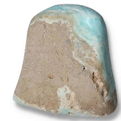 orbitvu|type:image2d