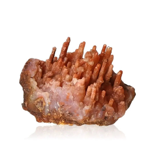 Calcite stalactite showcasing intricate layered structures and earthy tones, radiating growth and energy.