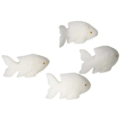 orbitvu|type:image2d