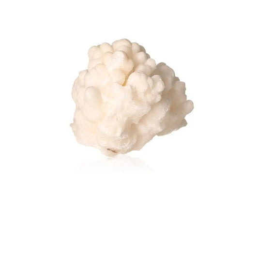 Cave Calcite Stalactite Cluster showcasing intricate natural formation and mineral layers