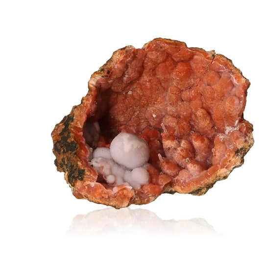 Chalcedony Stalactite by Sylvia Crystals, showcasing vibrant red-orange hues and white formations, symbolizing luxury and transformation.