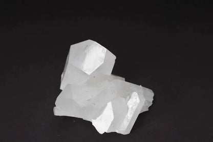 orbitvu|type:image2d