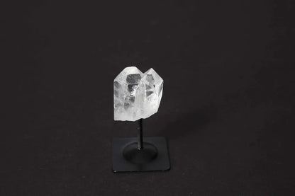 orbitvu|type:image2d