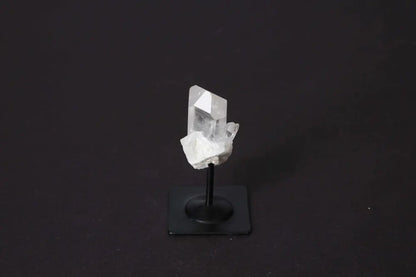 orbitvu|type:image2d