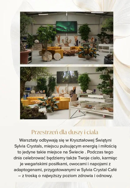 Interior view of Sylvia Crystals Showroom with natural decor for Crystal Consciousness Workshop.