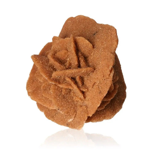 Close-up of a Desert Rose gypsum formation by Sylvia Crystals, showcasing its unique sculptural beauty and Moroccan origin.