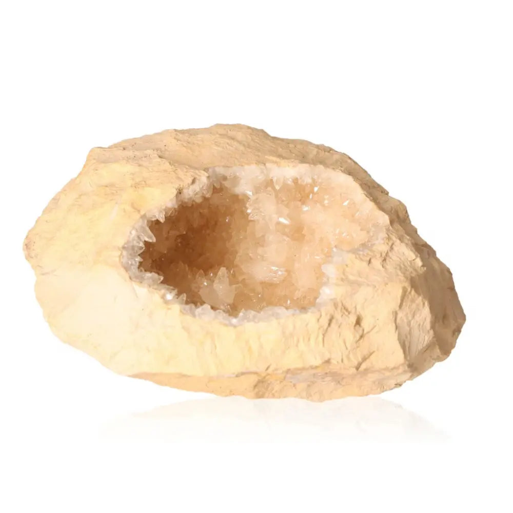 orbitvu|type:ORBITVU 360|https://orbitvu.co/share/ueZciZxw8HtaSKvCFsHgHH/6365177/360/iframe