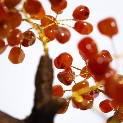 Tumbled Cornelian Tree 40 cm