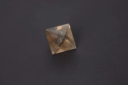 orbitvu|type:image2d