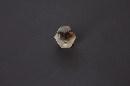 orbitvu|type:image2d