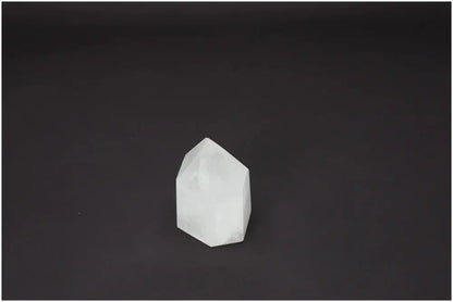 orbitvu|type:image2d