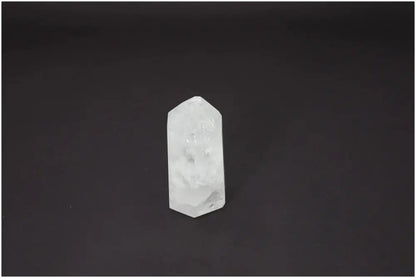 orbitvu|type:image2d