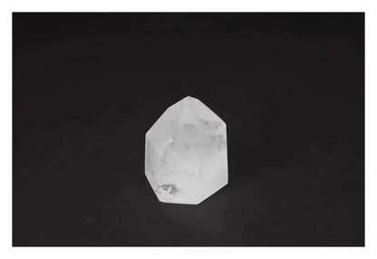orbitvu|type:image2d