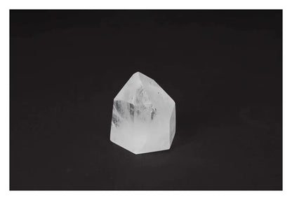 orbitvu|type:image2d