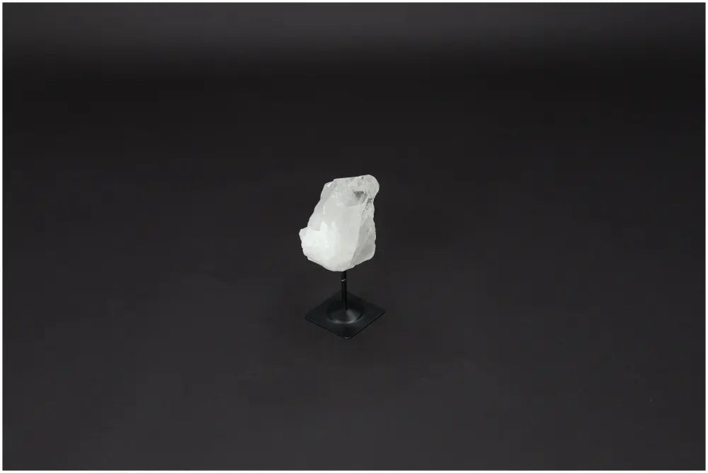 orbitvu|type:image2d