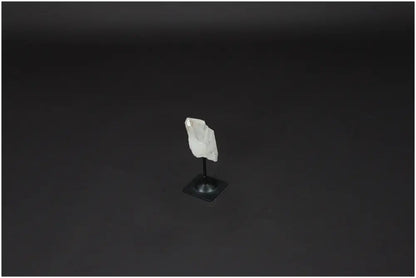 orbitvu|type:image2d