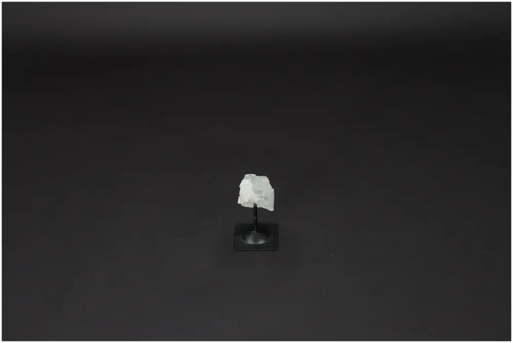 orbitvu|type:image2d