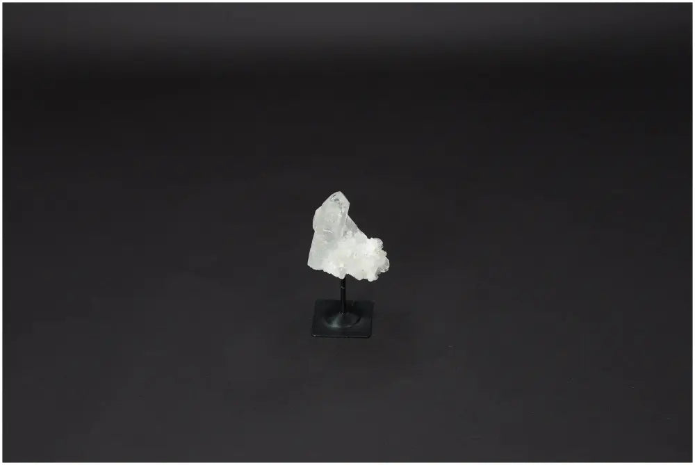 orbitvu|type:image2d
