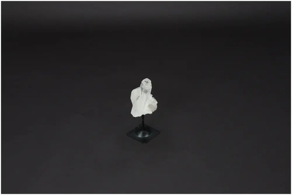 orbitvu|type:image2d