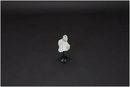 orbitvu|type:image2d