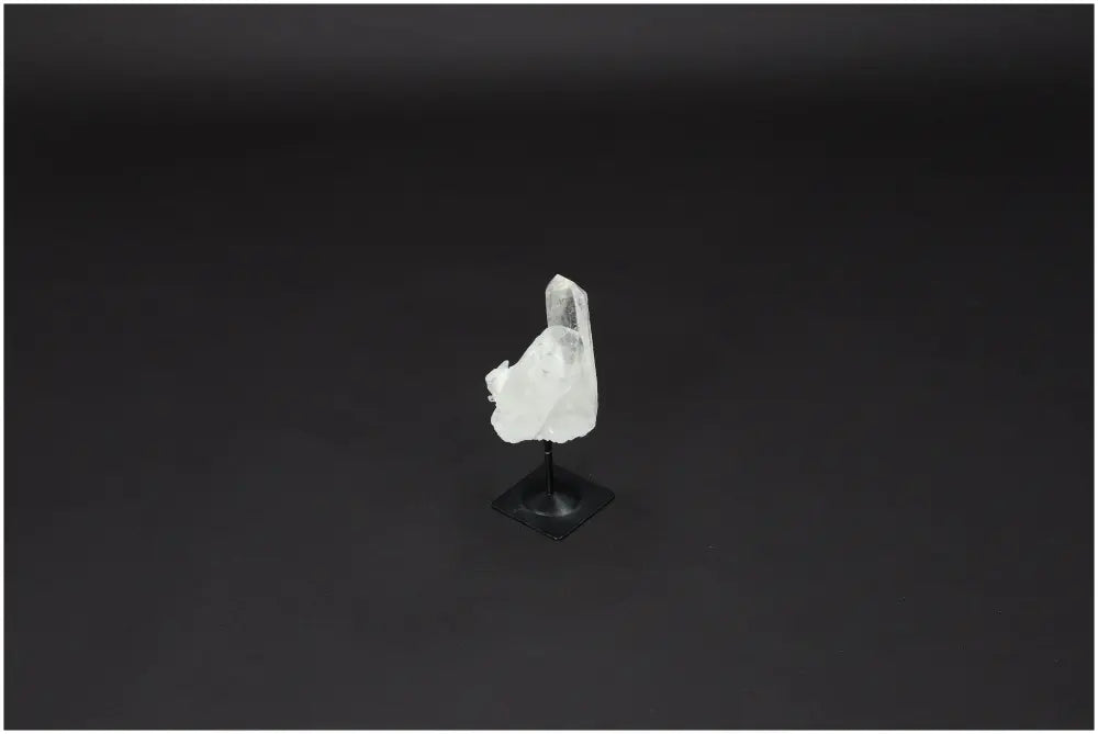 orbitvu|type:image2d